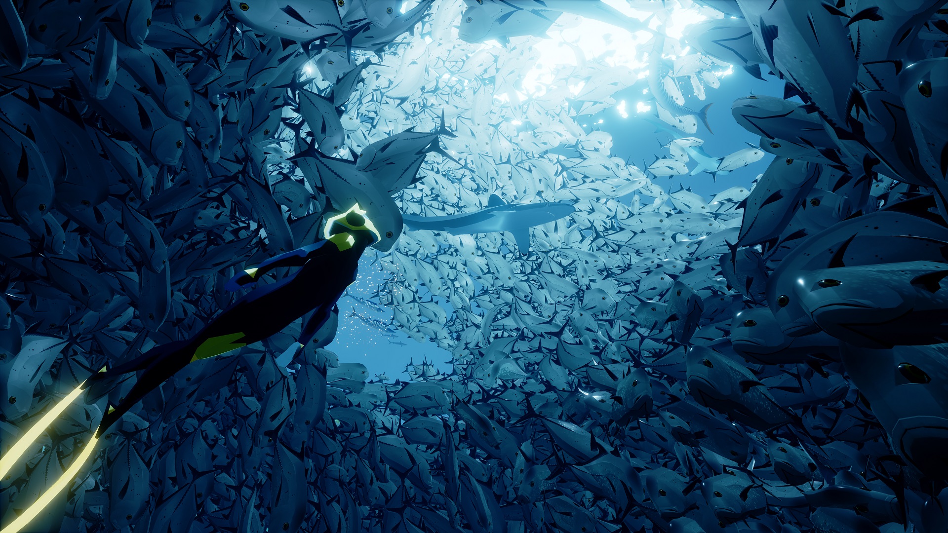 A diver swims through a dense school of fish beneath the surface.