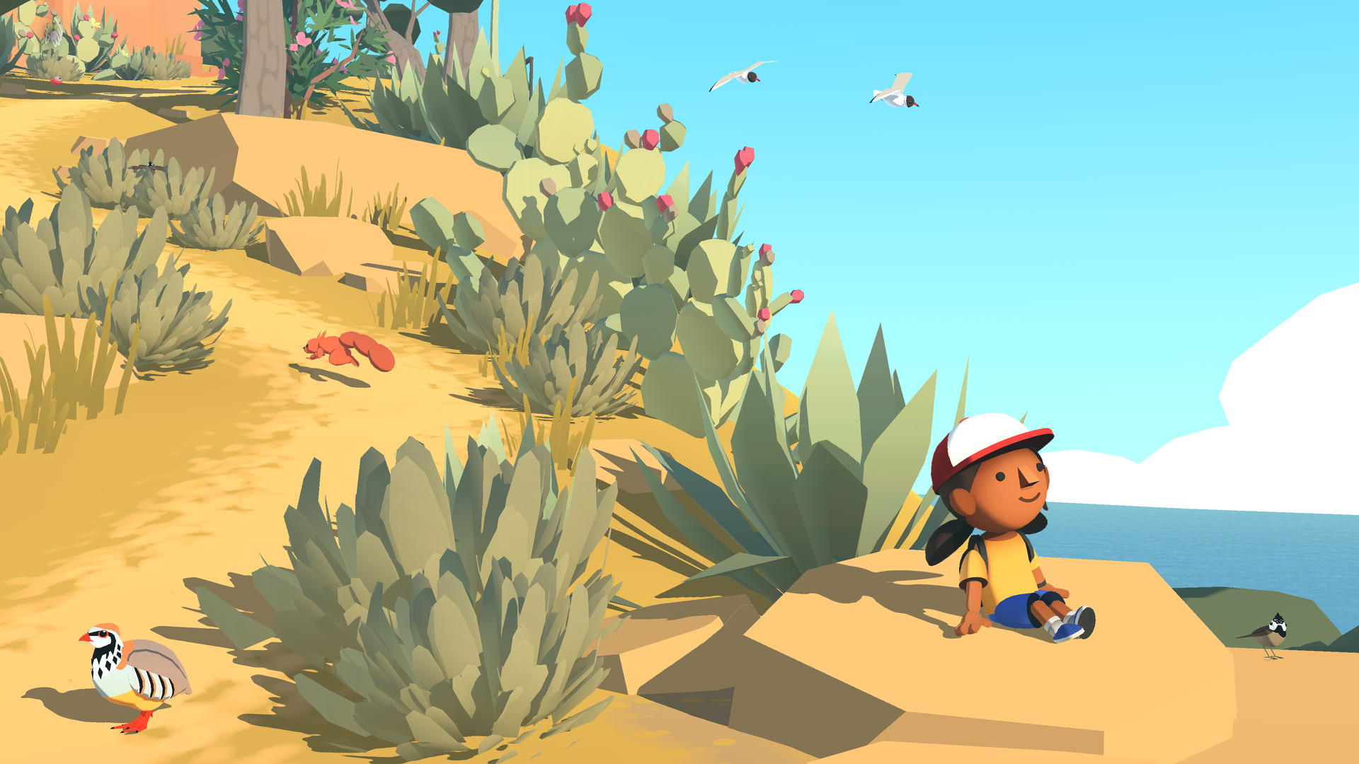 Alba stands on a coastal rock among island wildlife.