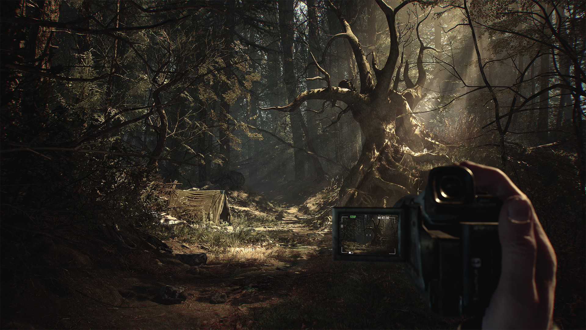 A handheld camera frames a path through dense woodland.