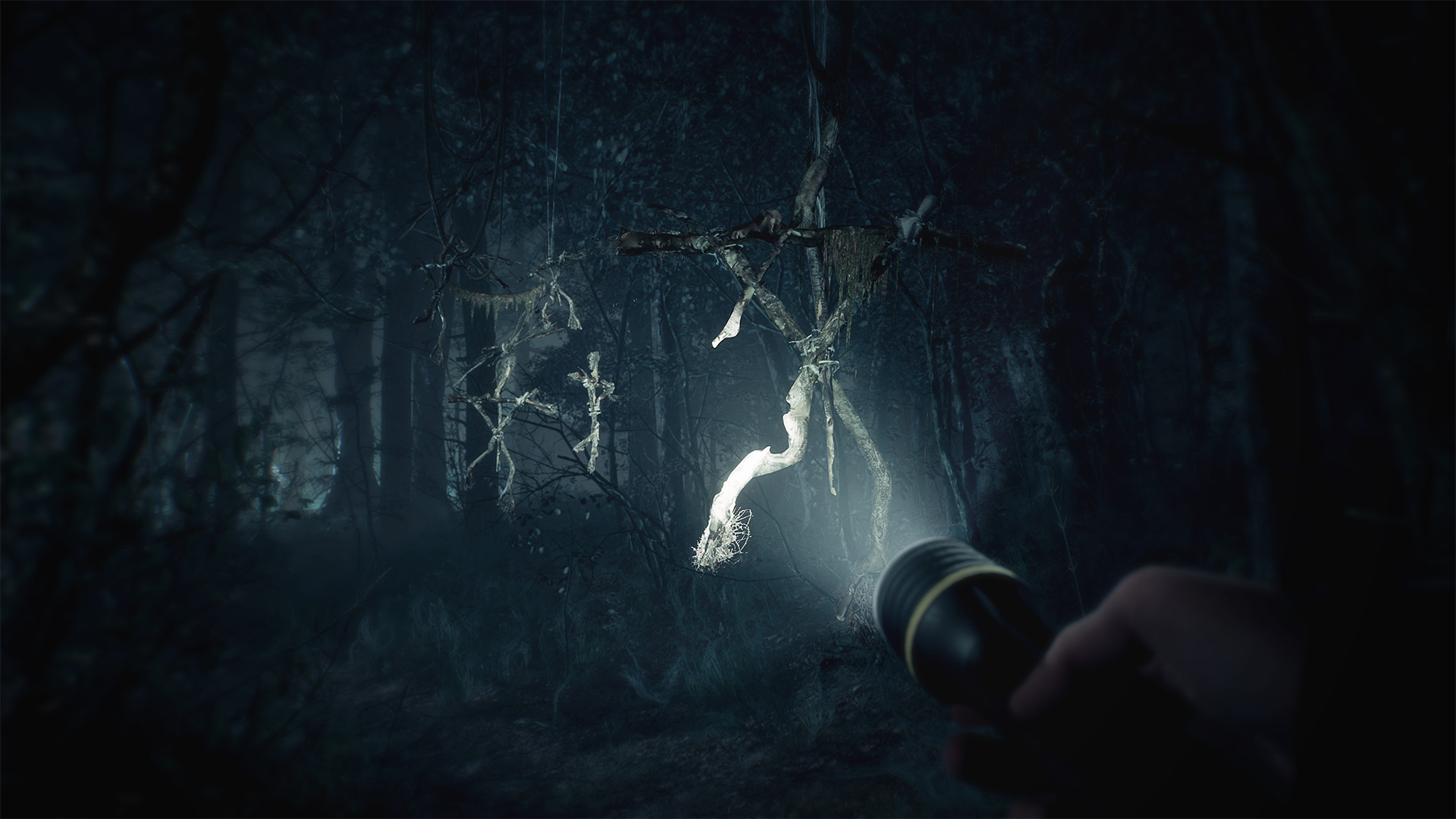A flashlight illuminates a figure hanging among the trees.