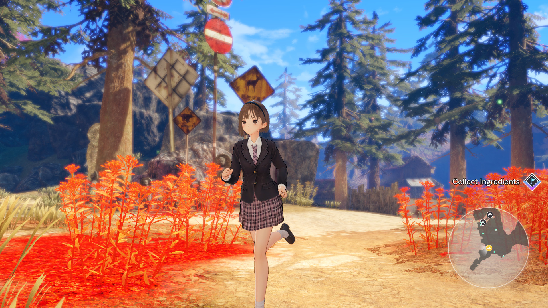 A student runs along a path lined with red foliage.