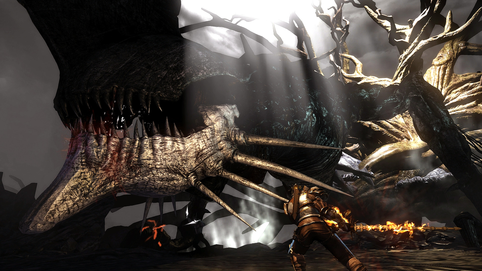 A fighter strikes a giant creature in a shadowed forest.