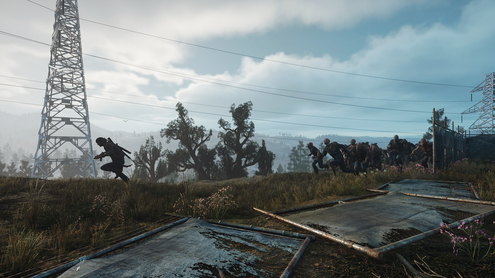 A horde moves through the countryside beneath power lines.