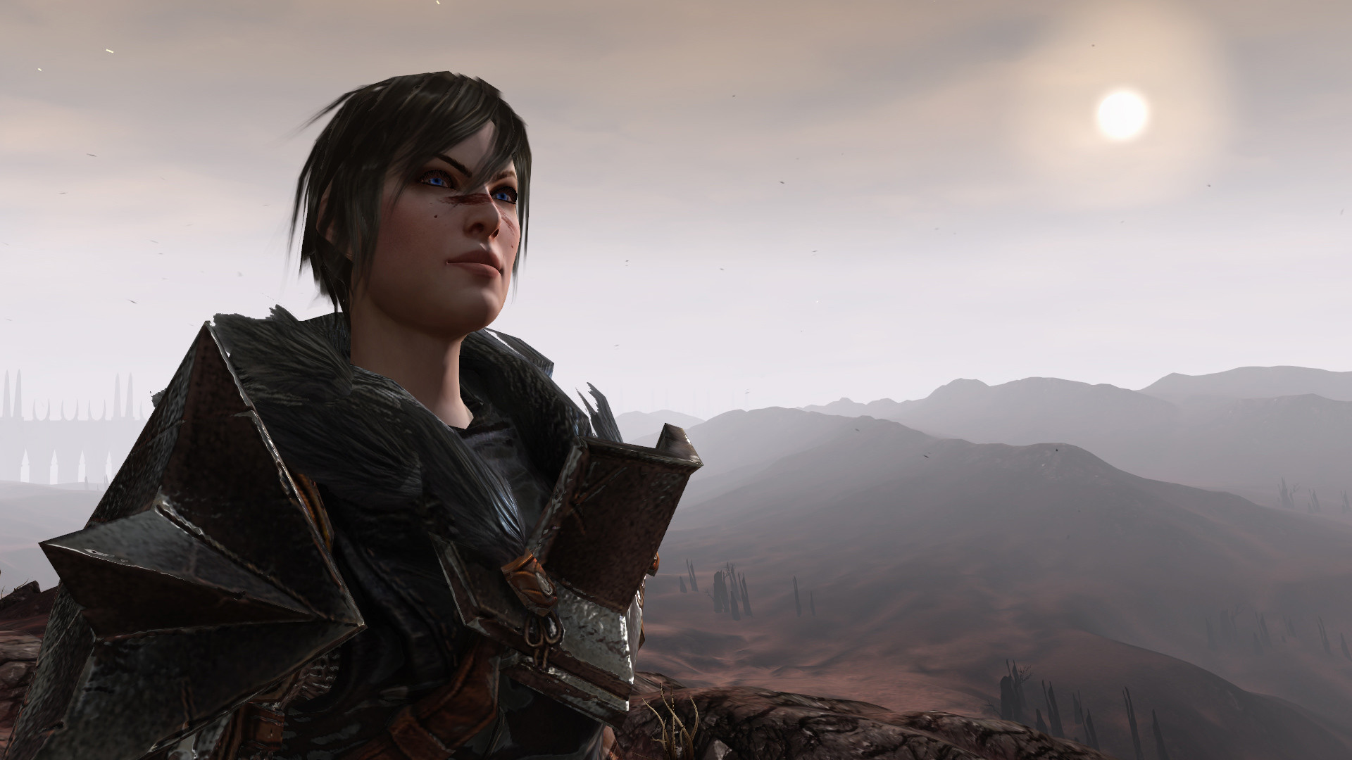 Hawke overlooks a barren landscape.