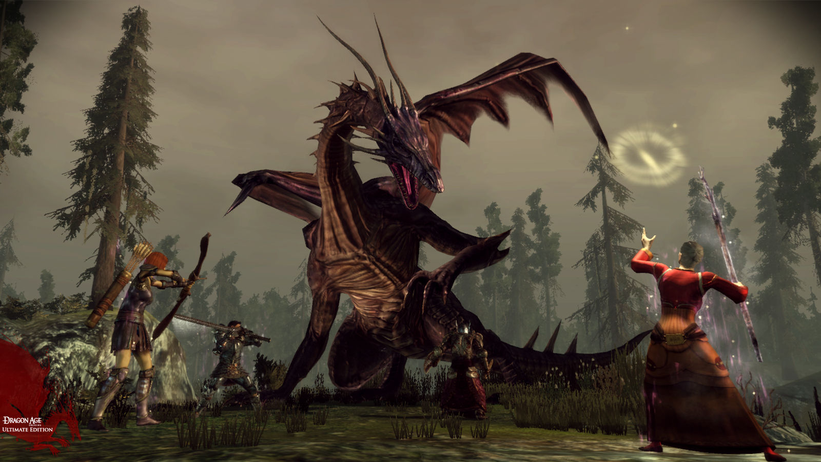 A party confronts a dragon in an open clearing.