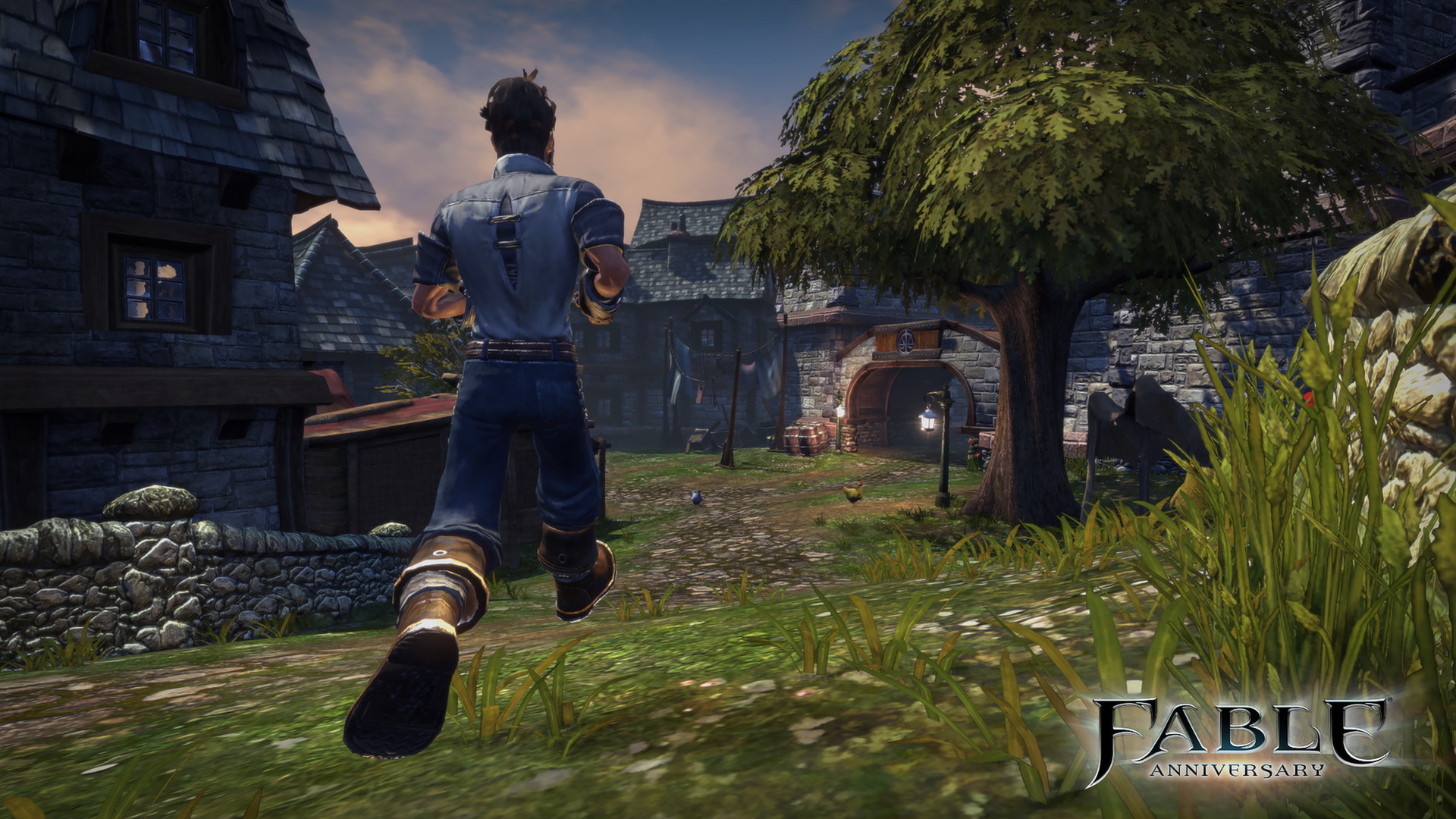 The Hero runs into an Albion village.