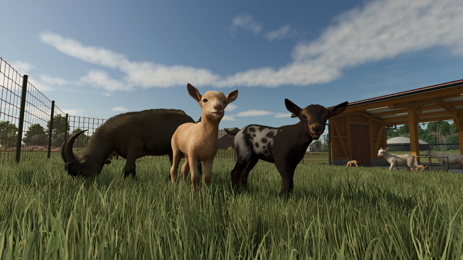 Farm animals stand in a fenced pasture beside a shelter.