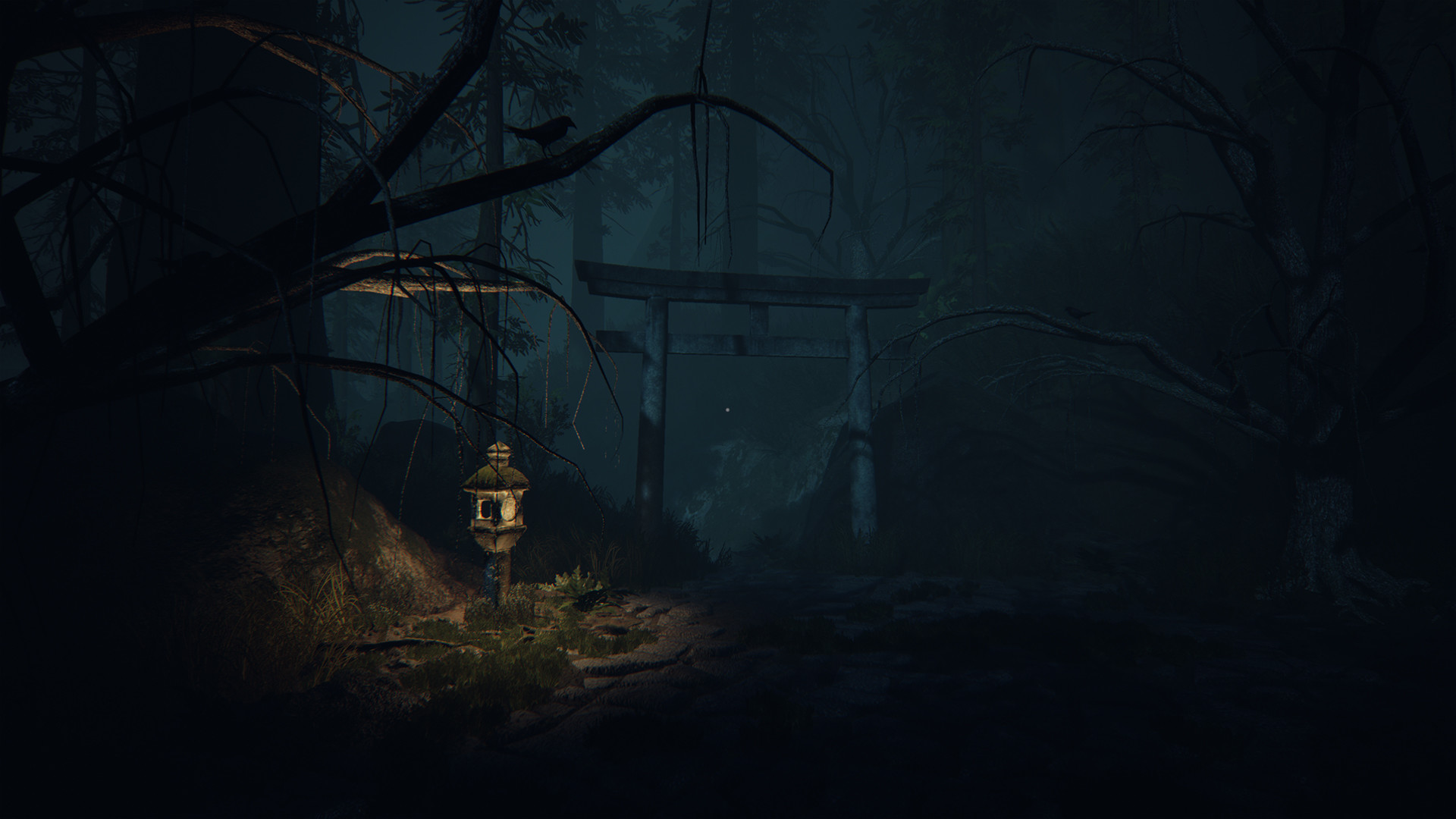 A shrine path leads between trees at night.