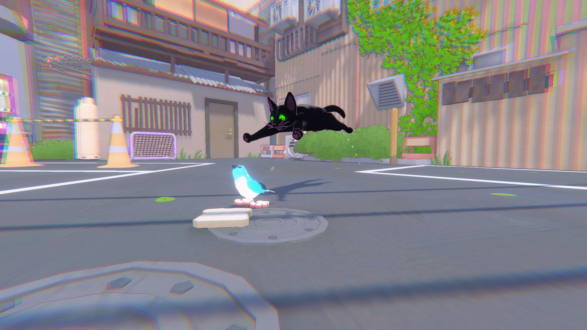 Kitty pounces across a street toward a small bird.