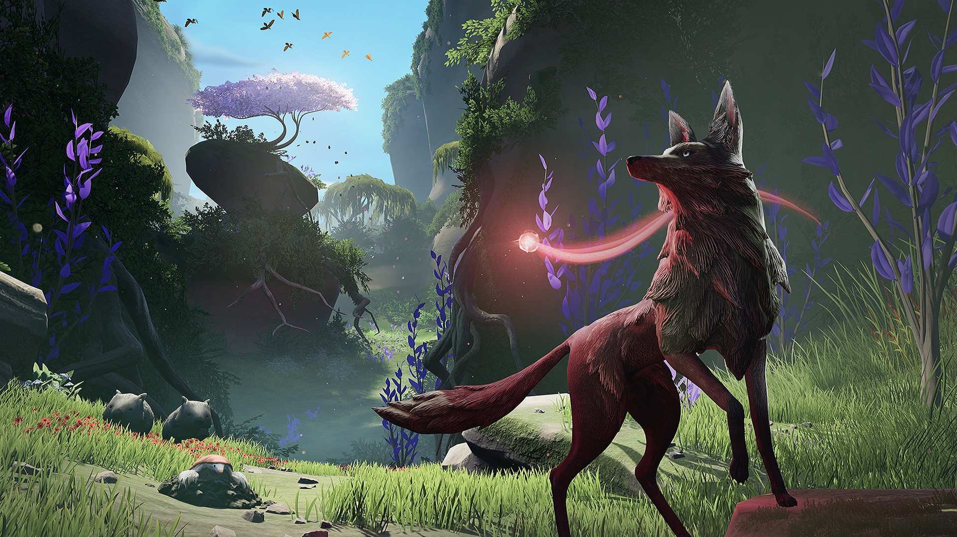 A wolf crosses a lush ravine.