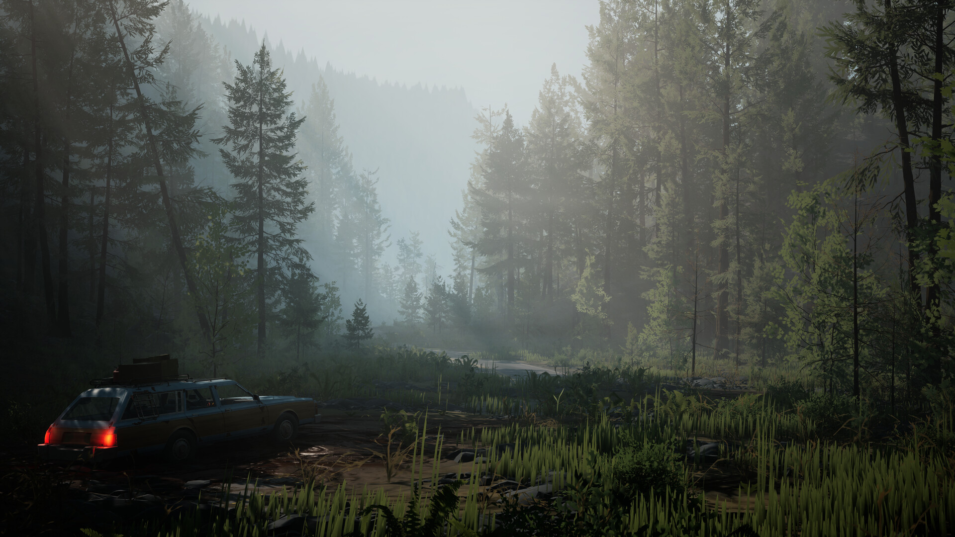 A station wagon sits on a misty road in the Olympic Exclusion Zone.
