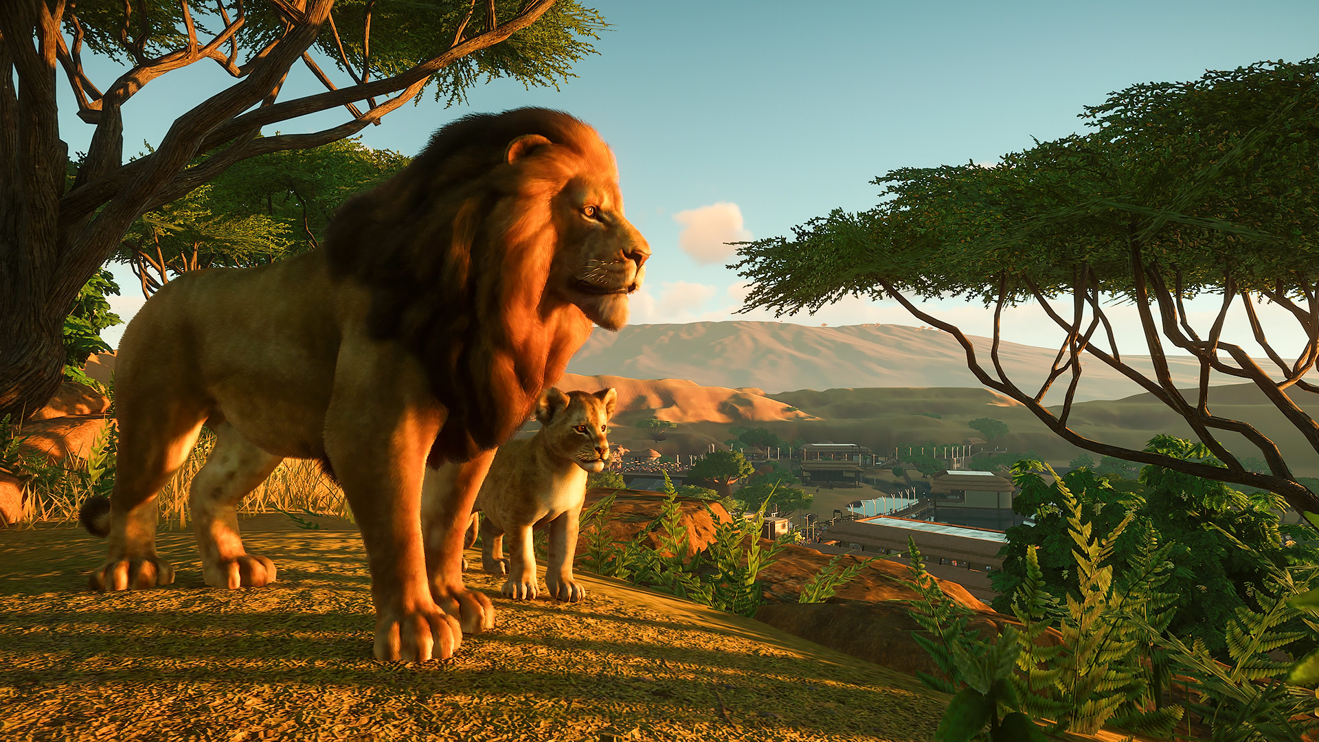 A lion and cub stand in a grassy habitat.