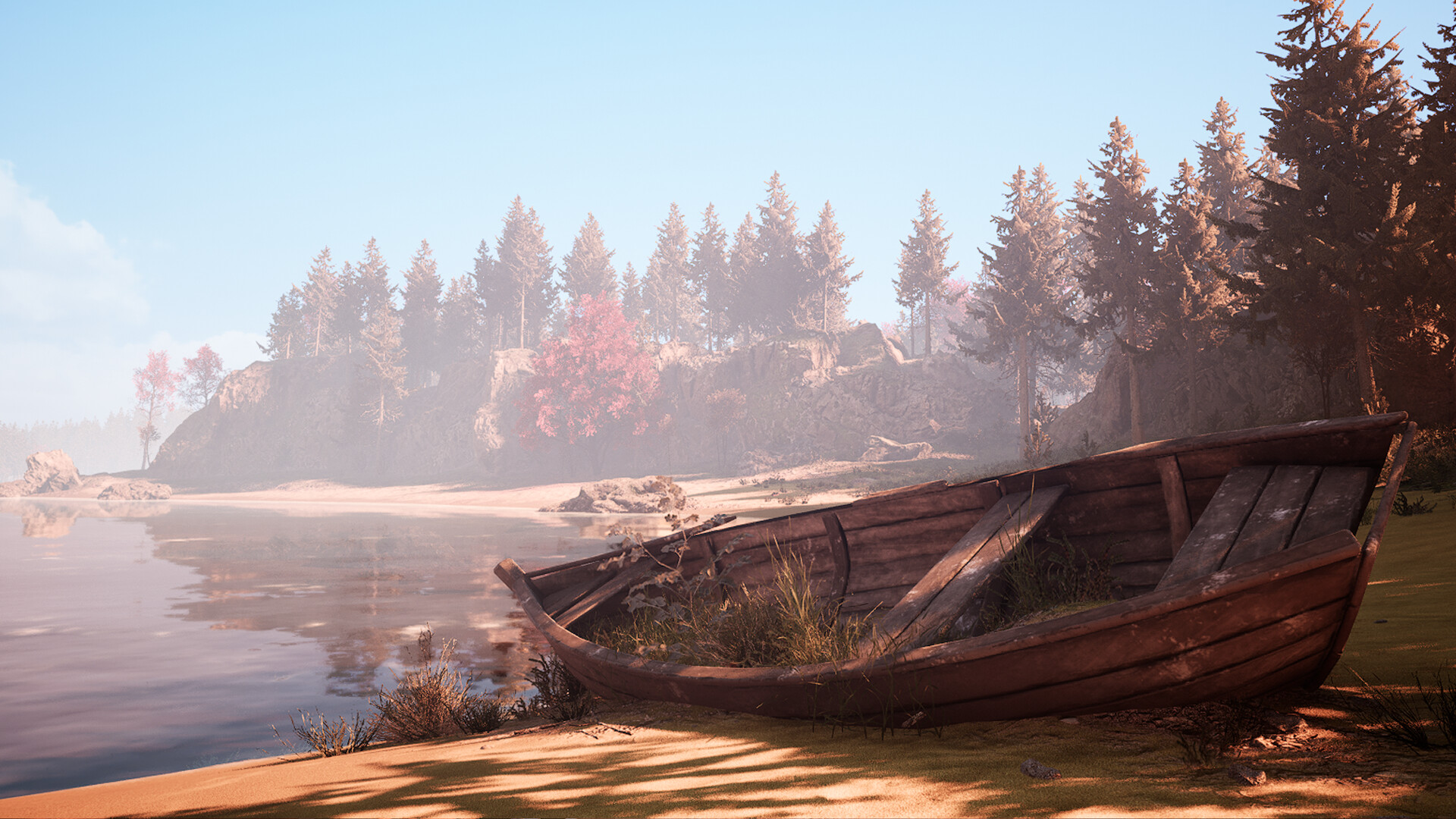 An empty boat rests beside a wooded lakeshore.