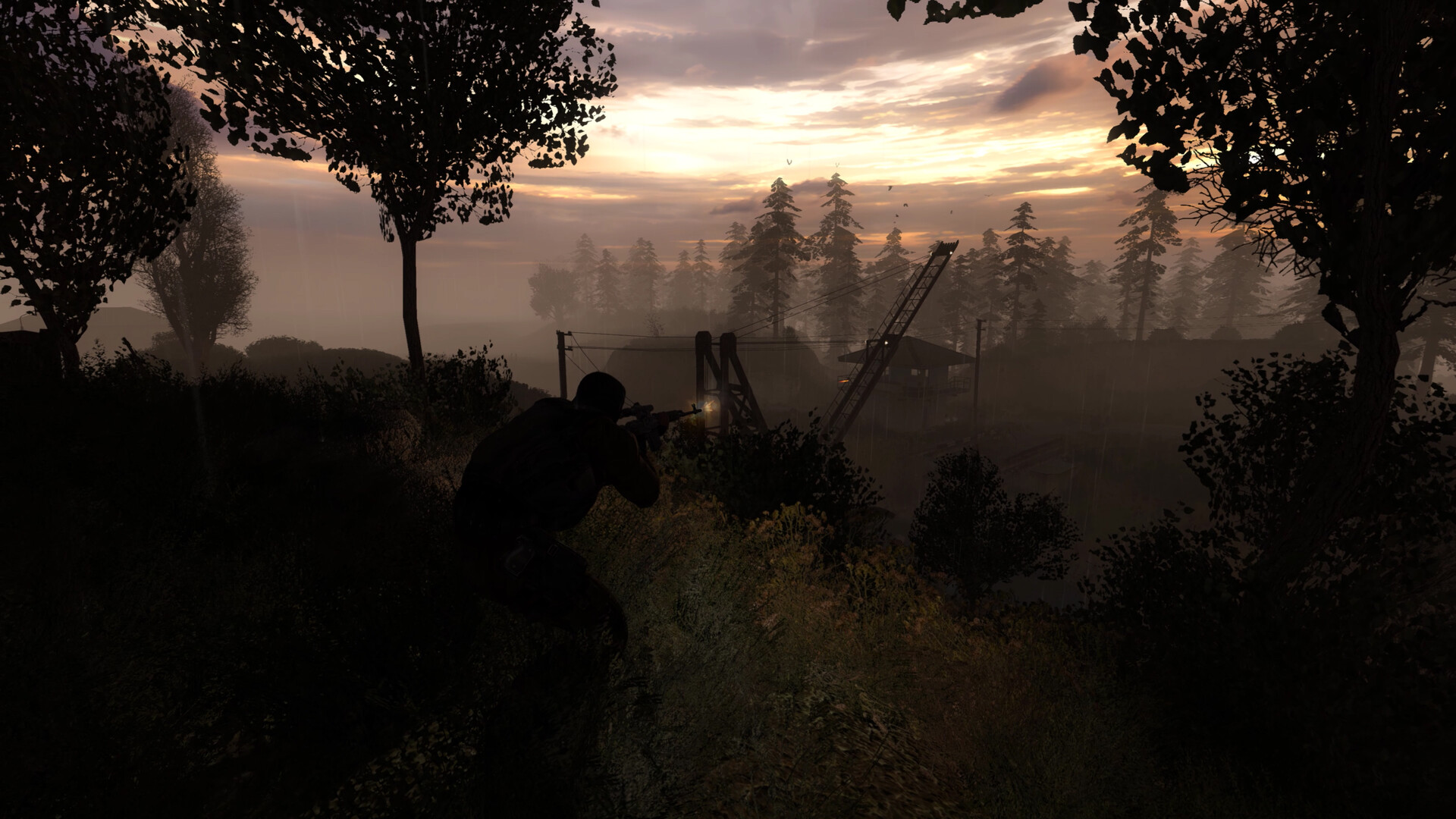 A stalker aims across a dusky field toward distant trees.