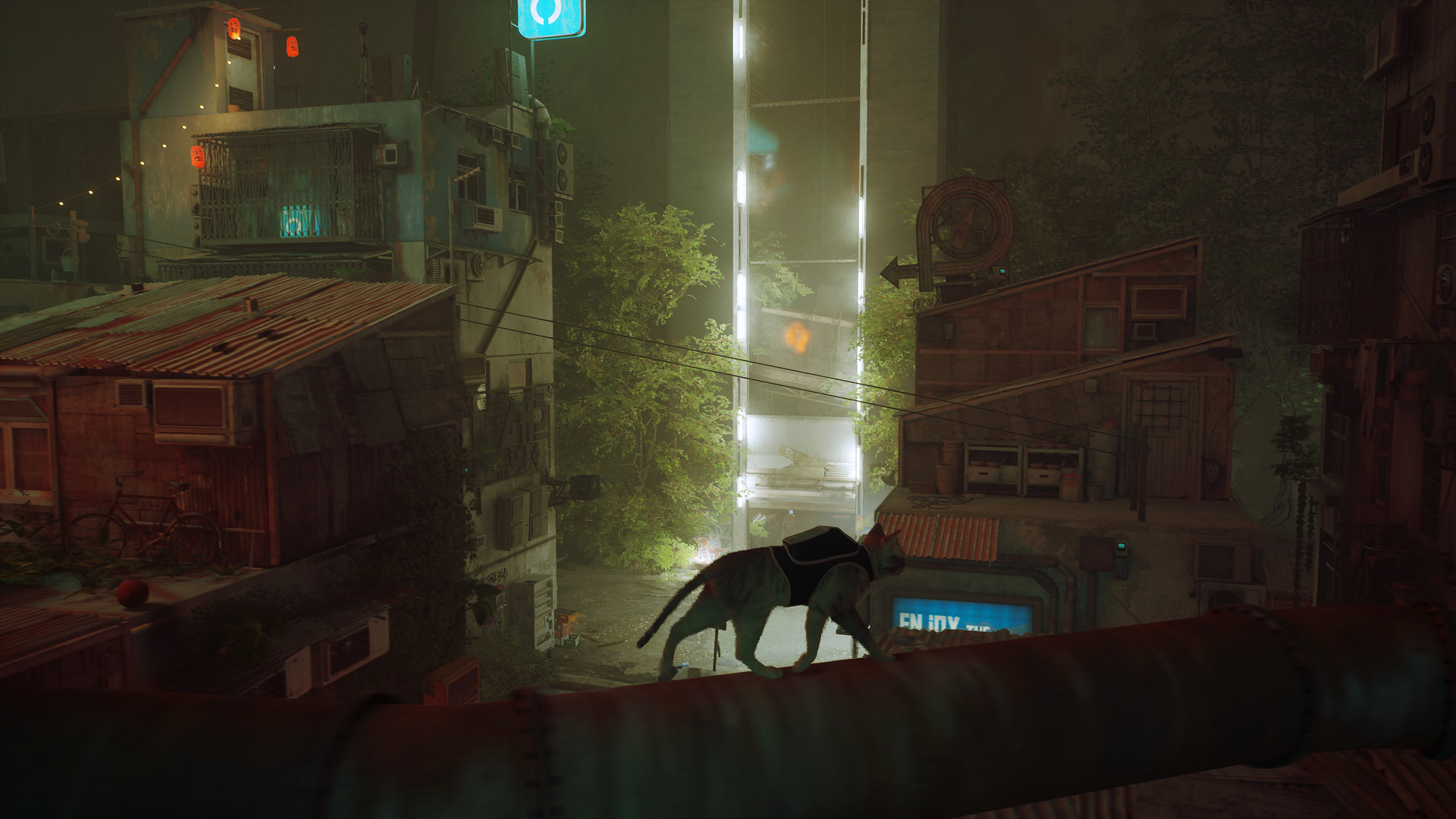 The cat balances above a moss-covered district of the walled city.
