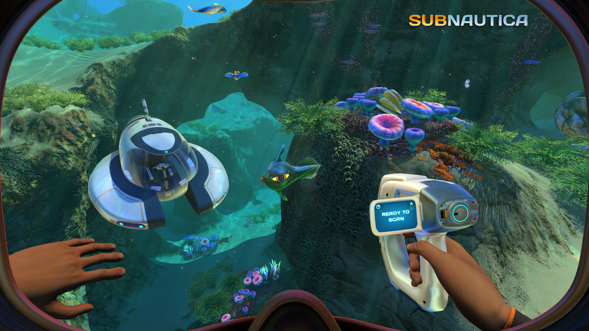 A diver explores the sunlit reef with a Scanner.