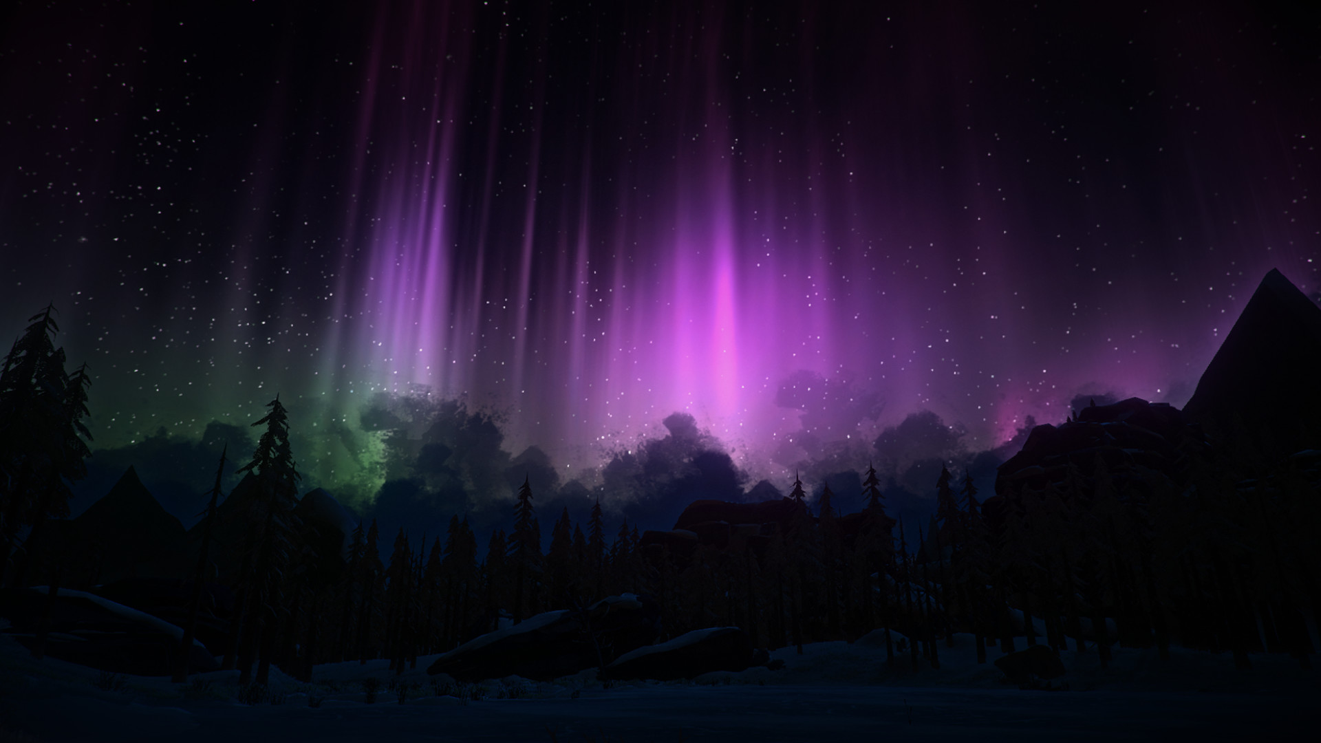An aurora lights the snowy wilderness at night.