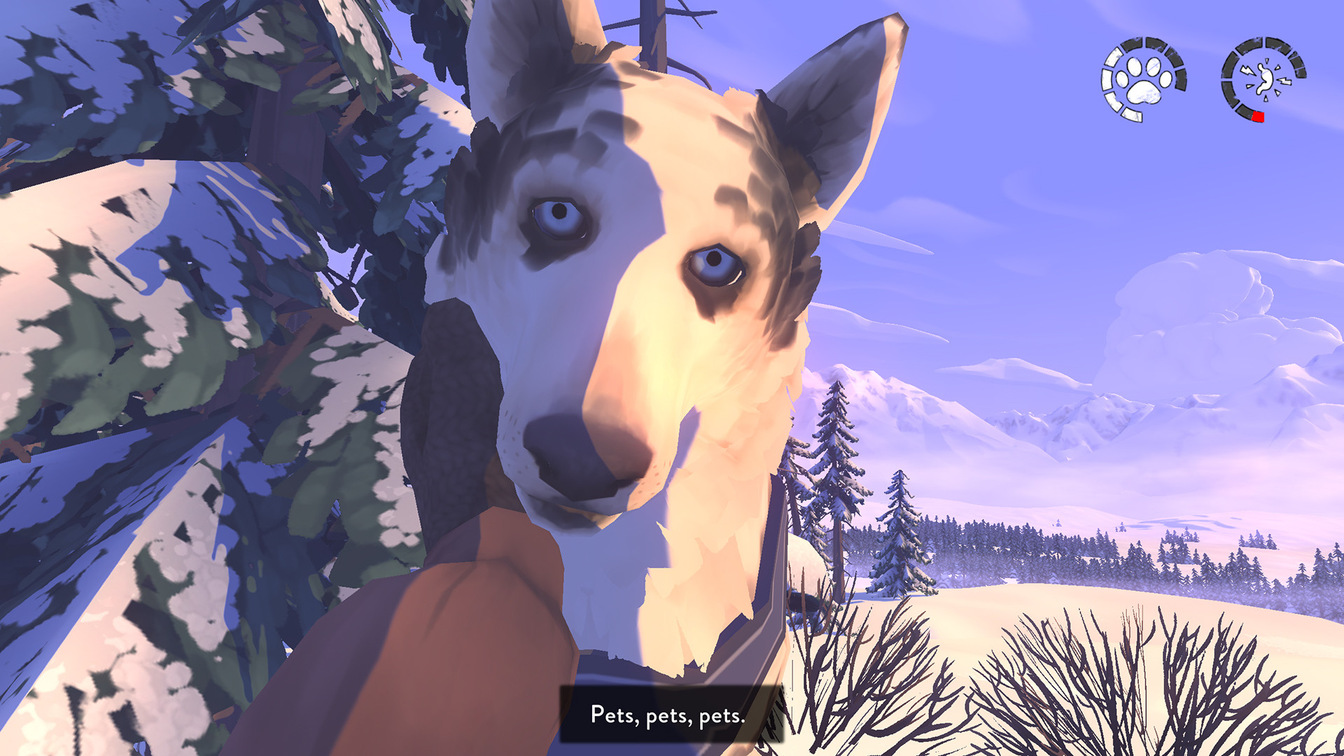 A sled dog looks toward the player in a snowy landscape.