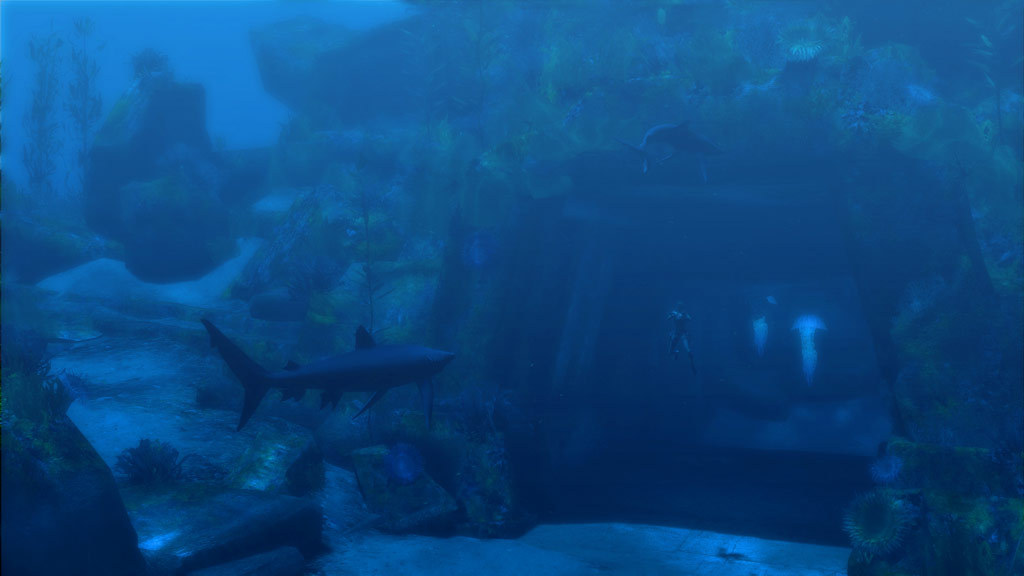 A shark swims near a submerged ruin.