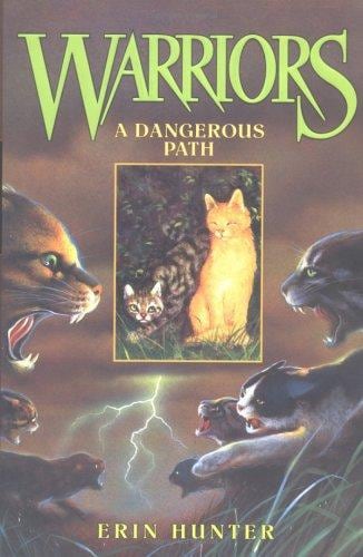 Cover of A Dangerous Path by Erin Hunter