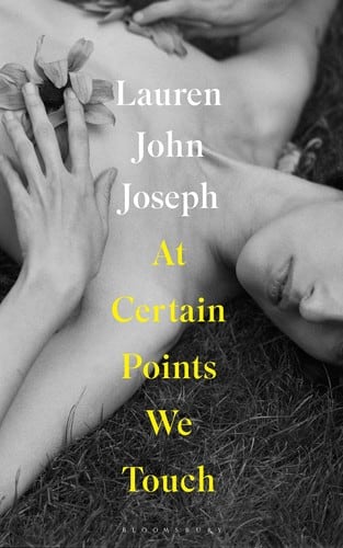 Cover of At Certain Points We Touch by Lauren J. Joseph