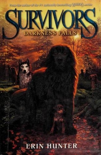 Cover of Darkness Falls by Erin Hunter