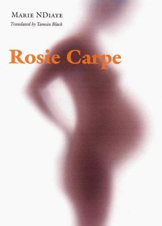 Cover of Rosie Carpe by Marie NDiaye