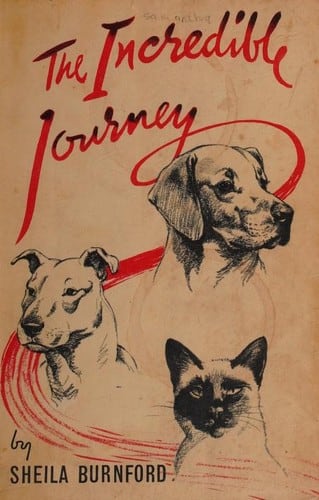 Cover of The Incredible Journey by Sheila Burnford