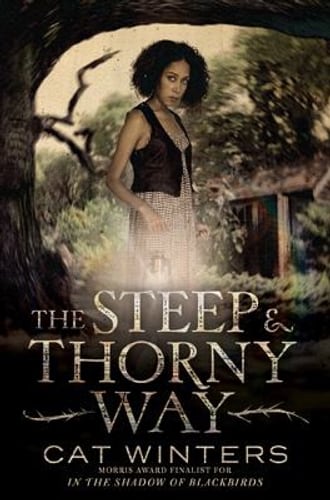 Cover of The Steep and Thorny Way by Cat Winters