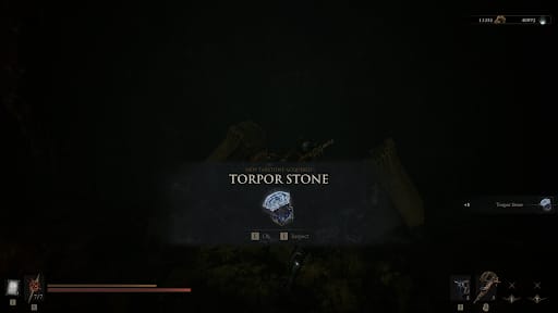 Torpor Stone in the world