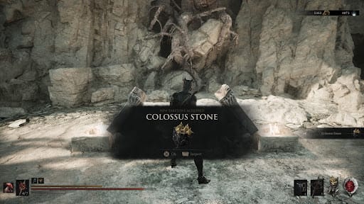Colossus Stone in the world